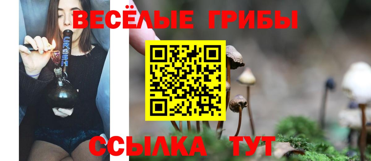 Псилоцибиновые грибы прущие грибы  Вход с VPN  Нижний Тагил 